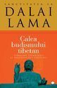 Calea budismului tibetan. Editura Curtea Veche