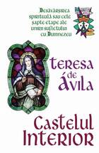 Descriere carte „Castelul interior“.