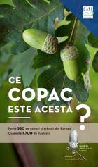 Link explicații „Ce copac este acesta?“.