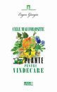 Cele mai folosite 17 plante pentru vindecare. Editura Meteor Press
