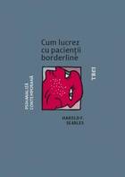 Descriere a cărții „Cum lucrez cu pacienții borderline“.