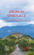Informații detaliate carte „Drumuri spirituale“.