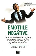 Descriere a cărții „Emoțiile negative“.