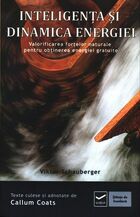 Copertă carte: Inteligența și dinamica energiei