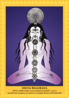 Link spre detalii „Set postere 22 ipostaze Shiva“.