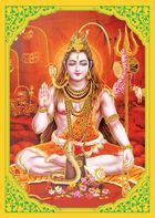 Link spre „Set postere mari înțelepți ayurveda“.