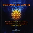 Detalierea cărții „Șivaismul din Cașmir. Proiecția identificatoare a yantra-ei Tridentului arhetipal al energiilor divine esențiale“.