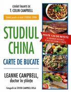 Link detaliere „Studiul China – Carte de bucate“.