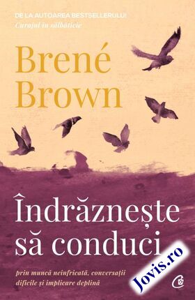 Detalii carte „Îndrăznește să conduci“.
