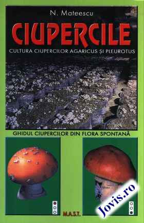 Link detalii „Cultura ciupercilor Agaricus și Pleurotus“.