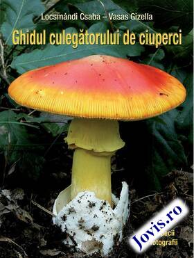 Coperta cărții: Ghidul culegătorului de ciuperci - 555 specii de ciuperci (371 cu fotografii color). de la editura Casa.