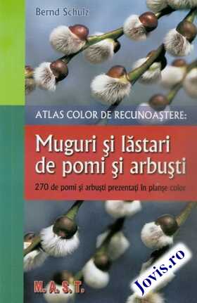 Link spre detalii „Muguri și lăstari de pomi și arbuști“.