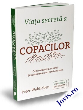 Coperta cărții: Viața secretă a copacilor – Cum comunică, ce simt. Descoperirea unei lumi ascunse de la editura Publica.