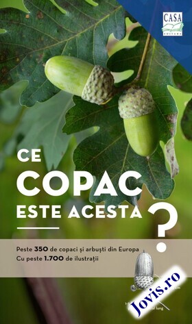 Coperta cărții: Ce copac este acesta? – Recunoașteți și determinați peste 350 de copaci și arbuști din Europa! de la editura Casa.