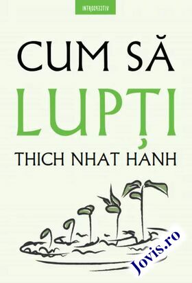 Detalii despre cartea „Cum să lupți“.