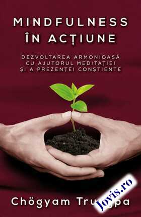 Detalii despre cartea „Mindfulness în acțiune“.