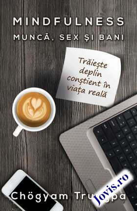 Descrierea cărții „MINDFULNESS : Muncă, Sex și Bani“.