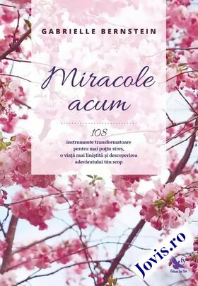 Coperta cărții: Miracole acum – 108 instrumente transformatoare pentru mai puțin stres, o viață mai liniștită și descoperirea adevăratului tău scop de la editura For You.