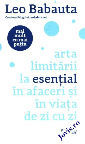 Descrierea cărții „Mai mult cu mai puțin“.
