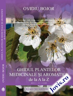 Coperta cărții: Ghidul plantelor medicinale și aromatice de la A la Z de la editura Dharana.