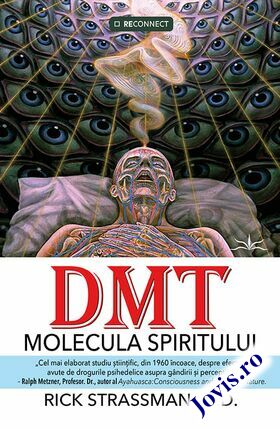 Explicații detaliate carte „DMT: Molecula spiritului“.