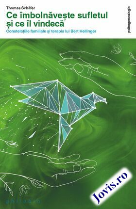 Detalierea cărții „Ce îmbolnăvește sufletul și ce îl vindecă“.