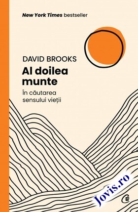 Coperta cărții: Al doilea munte – În căutarea sensului vieții de la editura Curtea Veche.