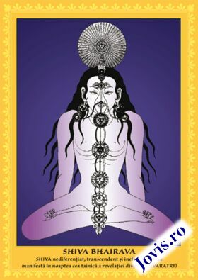 Link spre detalii „Set postere 22 ipostaze Shiva“.