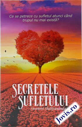 Coperta cărții: Secretele sufletului – Ce se petrece cu sufletul atunci când trupul nu mai există de la editura Soma.