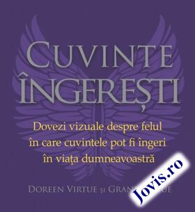 Explicații carte „Cuvinte îngerești“.