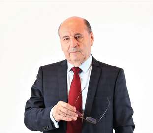 Dumitru Constantin Dulcan.